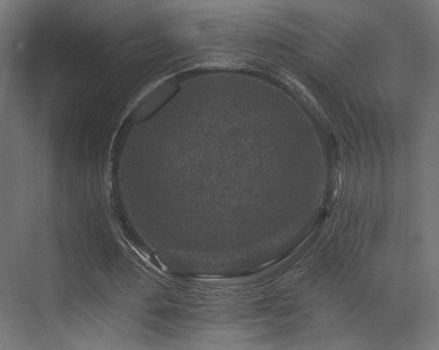 X0000072960484200607211201