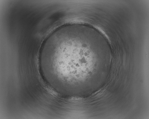 X0000072960487200607211201