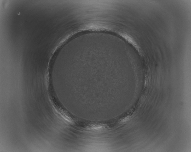 X0000072960488200607211201