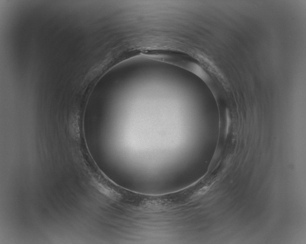 X0000072960489200607211201