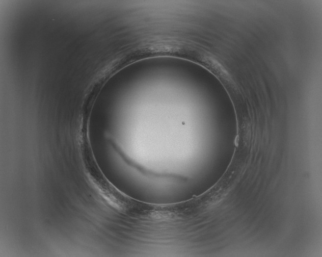 X0000072960490200607211201