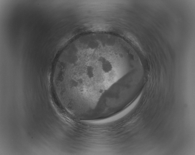 X0000072960491200607211201