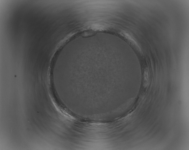 X0000072960492200607211201