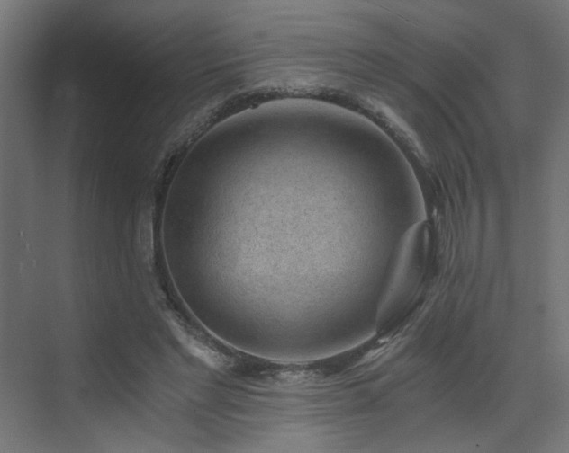 X0000072960493200607211201