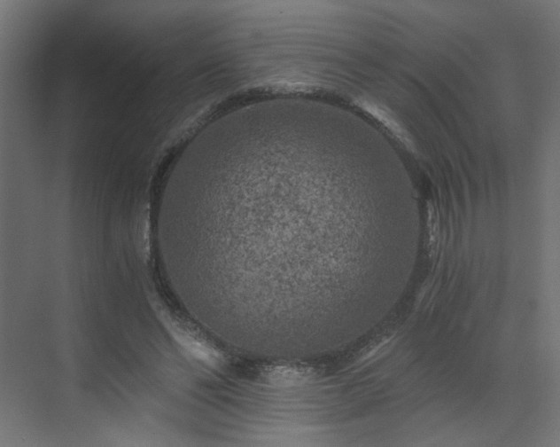 X0000072960494200607211201