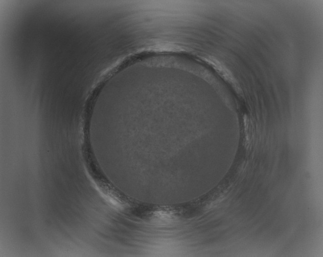 X0000072960496200607211201