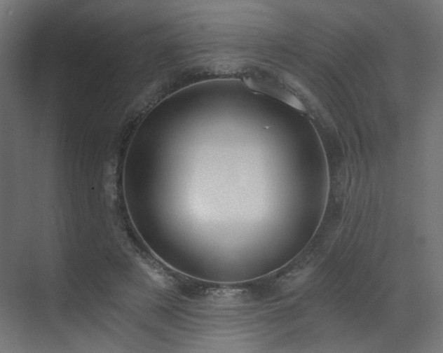 X0000072960497200607211201