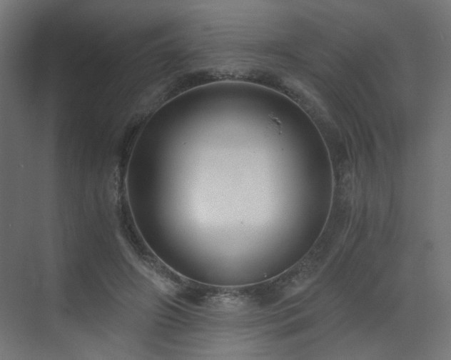 X0000072960498200607211201