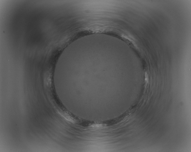 X0000072960499200607211201