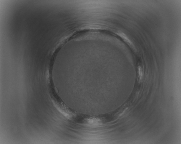 X0000072960500200607211201