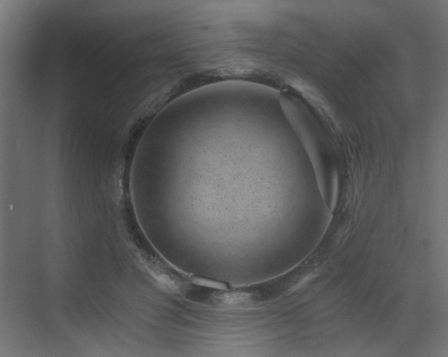 X0000072960501200607211201