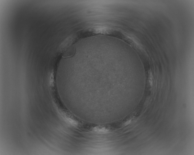 X0000072960502200607211201