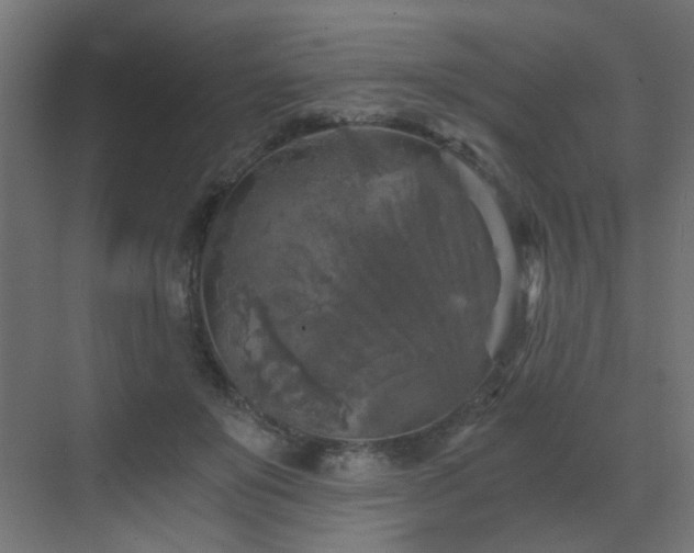 X0000072960503200607211201