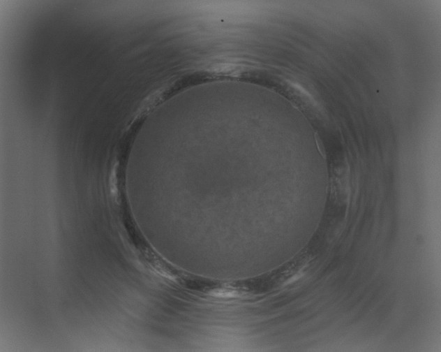 X0000072960504200607211201