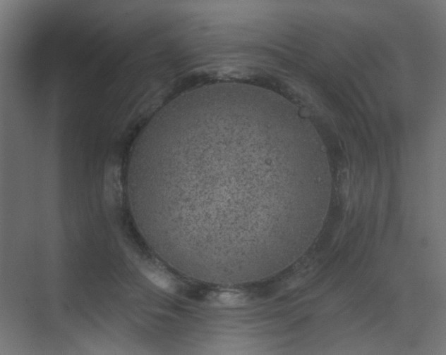 X0000072960506200607211201