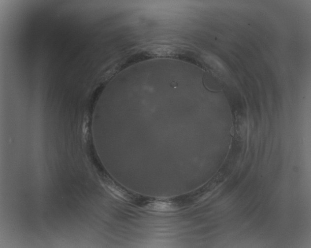 X0000072960507200607211201