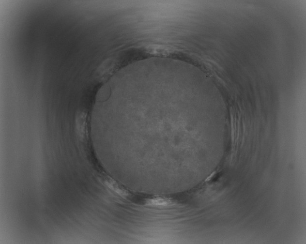 X0000072960511200607211201