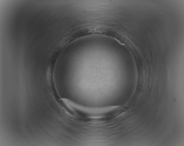 X0000072960513200607211201