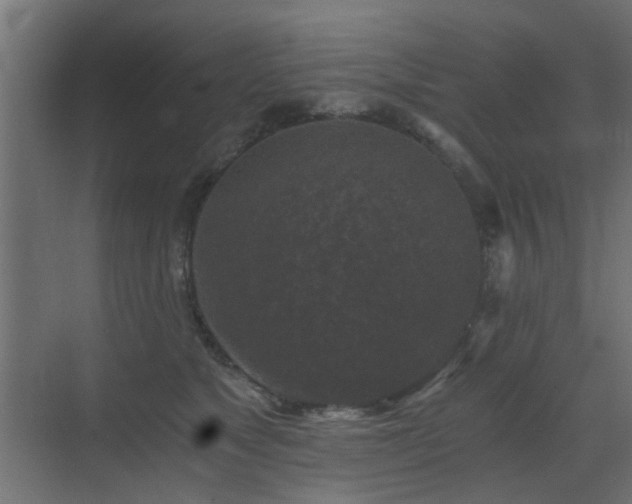 X0000072960517200607211200