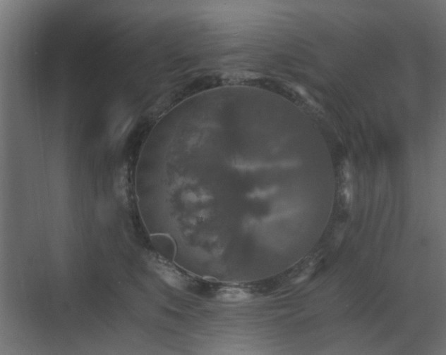 X0000072960519200607211200