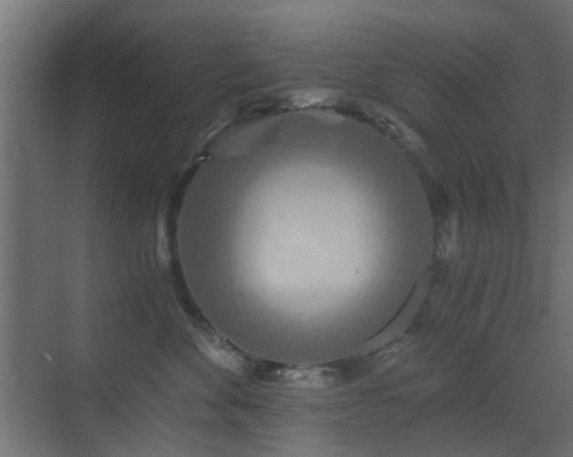 X0000072960524200607211200