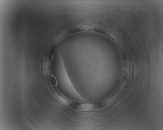 X0000072960526200607211200