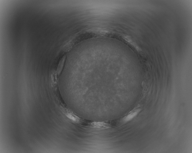 X0000072960528200607211200