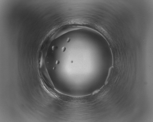 X0000072960530200607211159