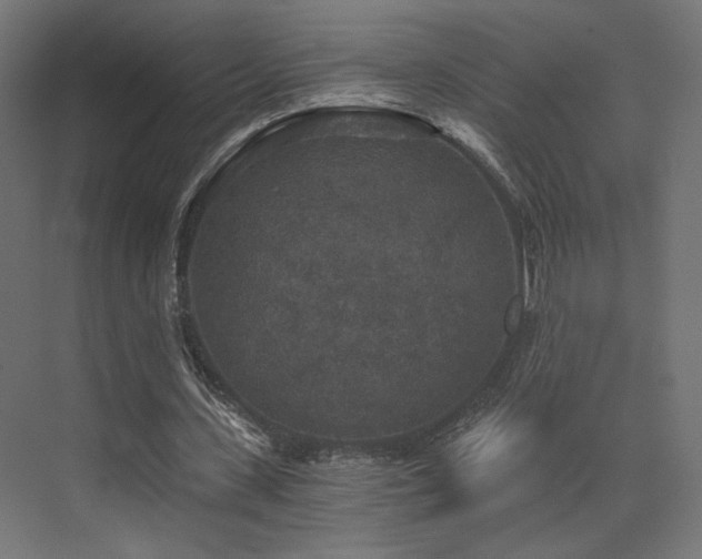 X0000072960531200607211159