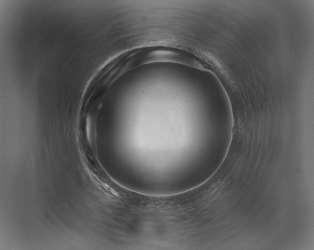 X0000072960532200607211200