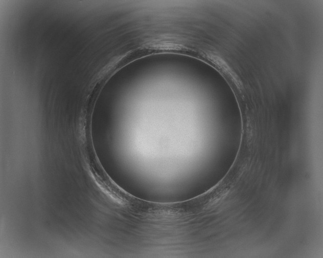 X0000072960533200607211200