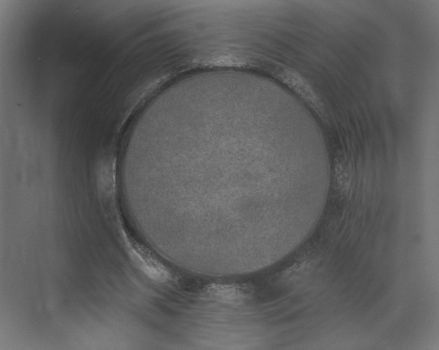 X0000072960534200607211200