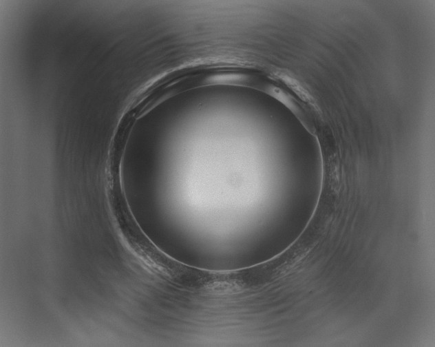 X0000072960536200607211200