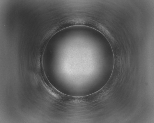 X0000072960537200607211200