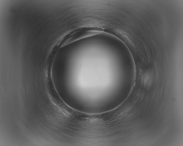 X0000072960539200607211200