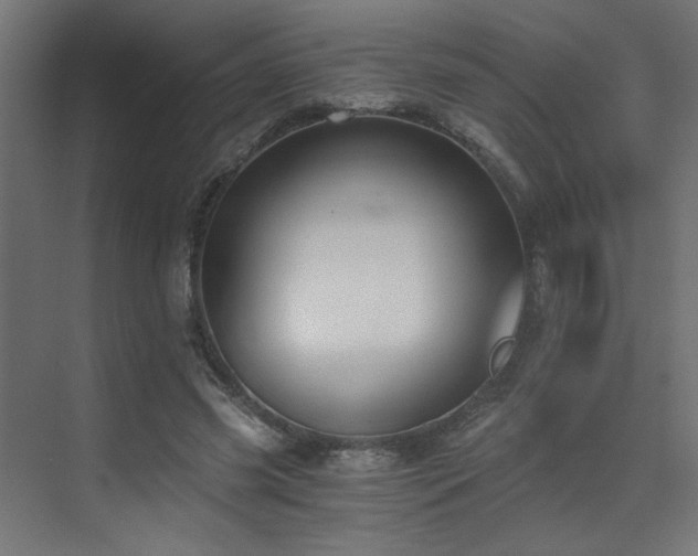 X0000072960541200607211200