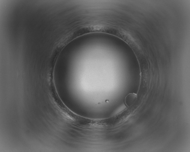 X0000072960545200607211200