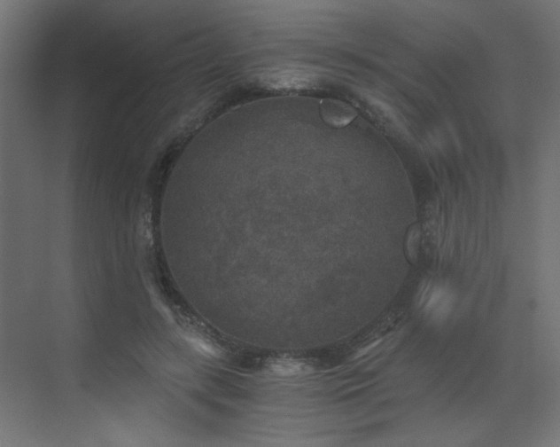 X0000072960547200607211200