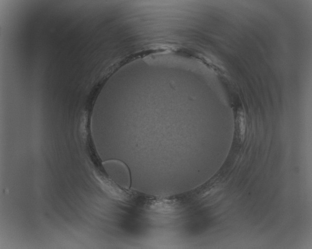 X0000072960550200607211200