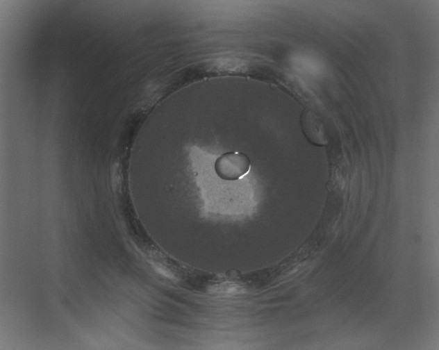 X0000072960551200607211200