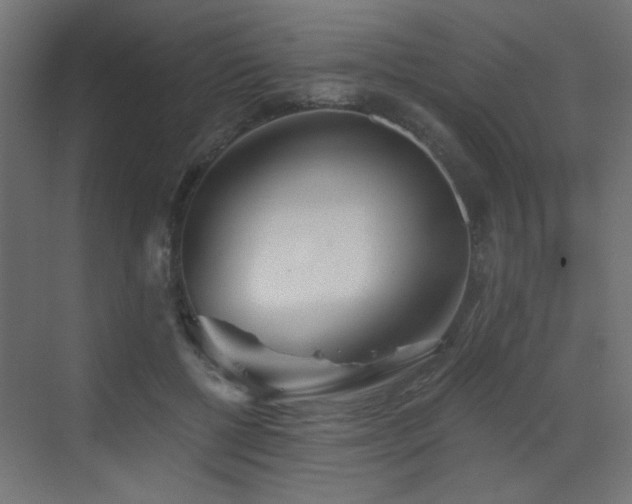 X0000072960552200607211200