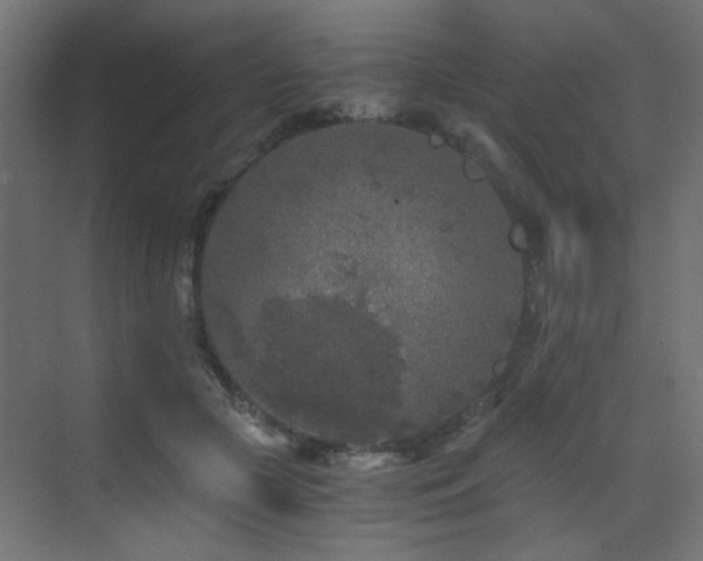 X0000072960553200607211200