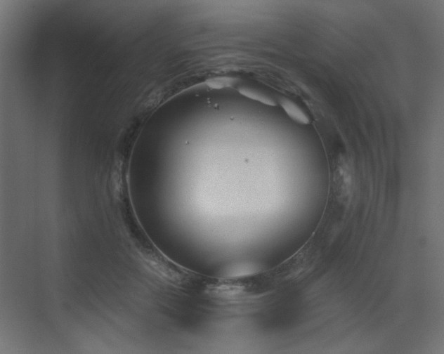 X0000072960554200607211200