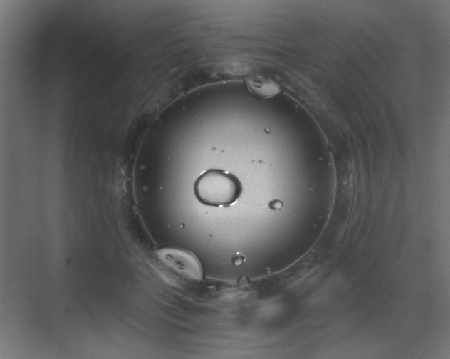 X0000072960555200607211200