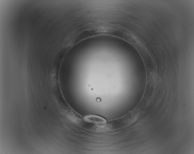 X0000072960557200607211200