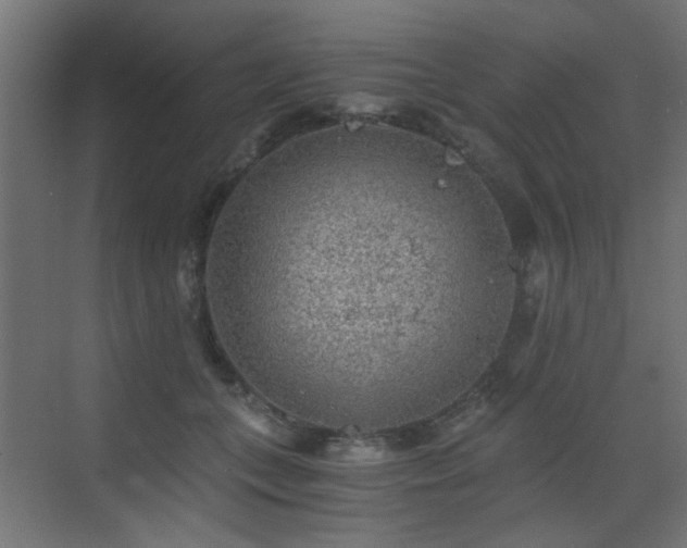 X0000072960559200607211200