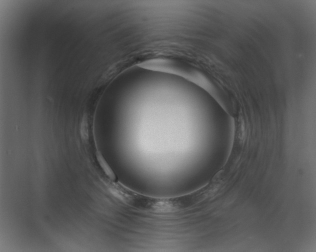 X0000072960562200607211200