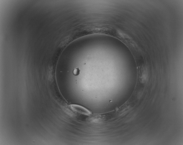 X0000072960563200607211200