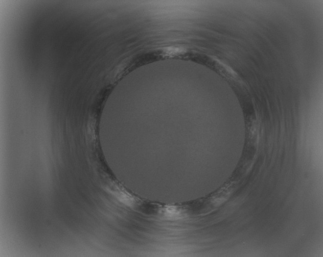 X0000072960565200607211200