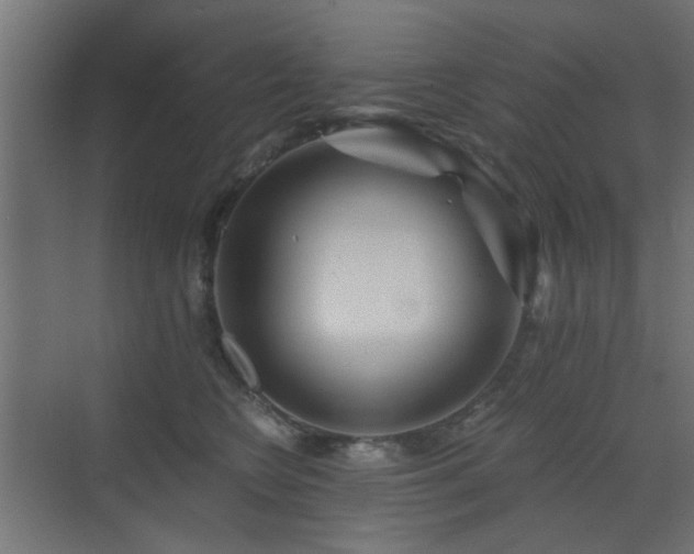 X0000072960566200607211200